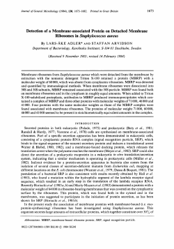 Detection of a Membrane-associated Protein on