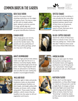 Common birds in the garden - VanDusen Botanical Garden