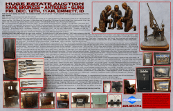 HOUSEHOLD: HTT electric full body massage