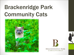 Community Cat Program - Brackenridge Park Conservancy