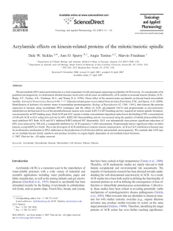 Acrylamide effects on kinesin-related proteins of the mitotic/meiotic