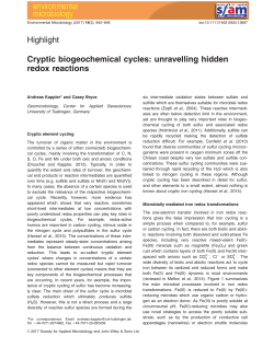 Cryptic biogeochemical cycles: unravelling hidden redox reactions