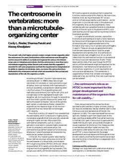 The centrosome in vertebrates: more than a microtubule