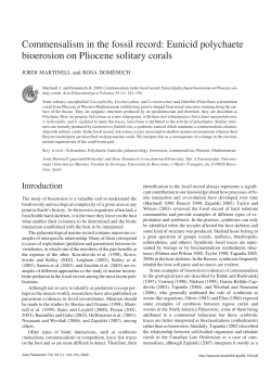 Commensalism in the fossil record: Eunicid polychaete bioerosion