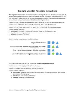 Example Mutation Telephone Instructions
