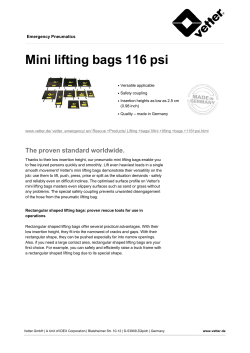 Your Vetter Mini Lifting Bags Data Sheet