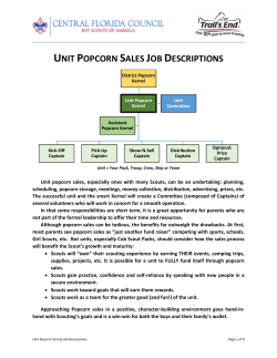 unit popcorn sales job descriptions