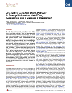 Article - Weizmann Institute of Science
