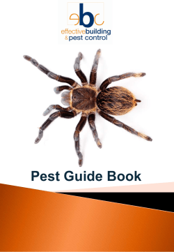 Pest Guide Book - Effective Building and Pest Control