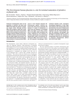 The first trimester human placenta is a site for