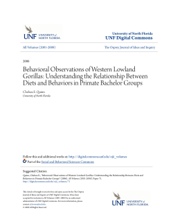 Behavioral Observations of Western Lowland Gorillas