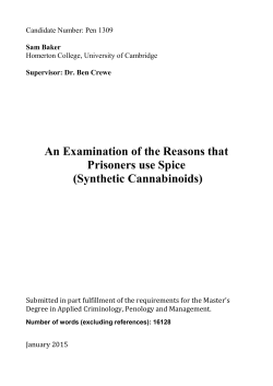 An Examination of the Reasons that Prisoners use Spice