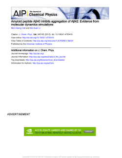 Amyloid peptide A&beta;40 inhibits aggregation of A&beta;42: Evidence from