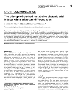 SHORT COMMUNICATION The chlorophyll-derived