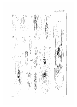 Back Matter  - Journal of Cell Science