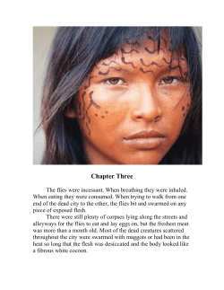 Chapter Three - Ecovox Records
