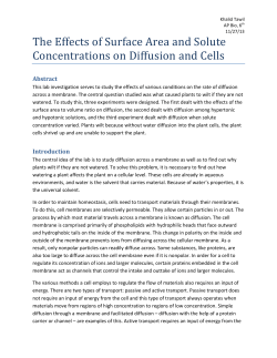 Diffusion Lab Report