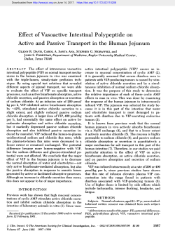 Effect of Vasoactive Intestinal Polypeptide on Active and Passive