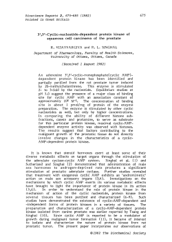 Cyclic-nucleotide-dependent protein kinase of squamous cell