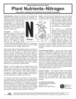 Plant Nutrients&ndash;Nitrogen - California Foundation for Agriculture in