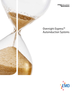 Protein Expression with Overnight Express