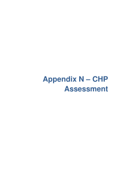 Appendix N &ndash; CHP Assessment