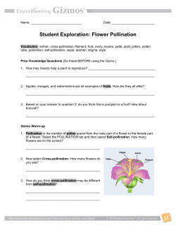 Flower Pollination