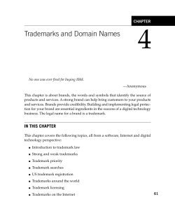 Trademarks and Domain Names