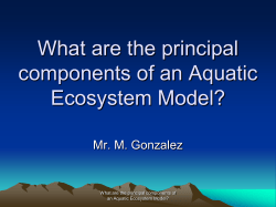 How do we build an Aquaponics tank?