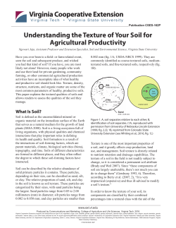 Understanding the Texture of Your Soil for Agricultural Productivity