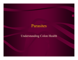 Parasites - Joyful Living Services