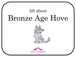 Brighton Museum Bronze age classroom resource