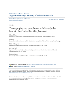 Demography and population viability of polar bears in the Gulf of