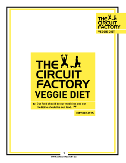 - Circuit Factory