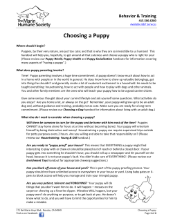 Choosing a Puppy - Marin Humane Society