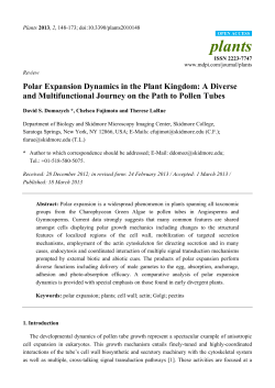 Polar Expansion Dynamics in the Plant Kingdom: A Diverse and
