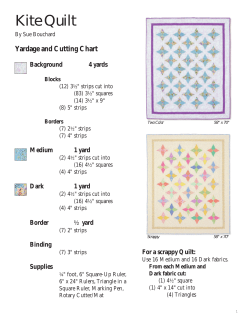 Kite Quilt - Quilt in a Day