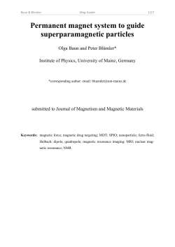 Permanent magnet system to guide superparamagnetic particles