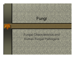 Fungal Characteristics and Human Fungal Pathogens