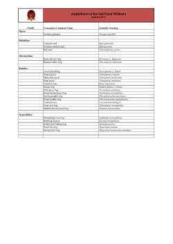 Amphibian species list