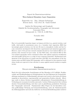 Expos&eacute; des Dissertationsvorhabens Wave