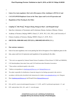 Gain of An Auto-regulatory Site Led to