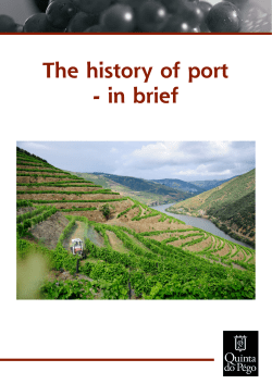 HERE! - Quinta do Pégo