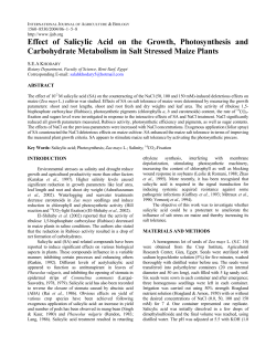 Effect of Salicylic Acid on the Growth