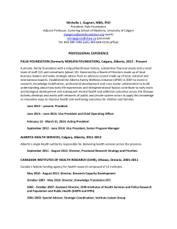 Michelle L. Gagnon, MBA, PhD PROFESSIONAL EXPERIENCE