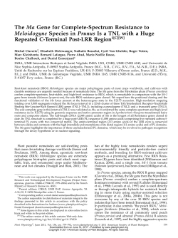 The Ma Gene for Complete-Spectrum Resistance
