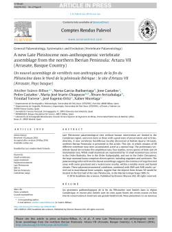 A new Late Pleistocene non-anthropogenic