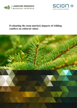 Evaluating the (non-market) impacts of wilding conifers on cultural