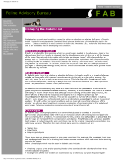 Managing the diabetic cat