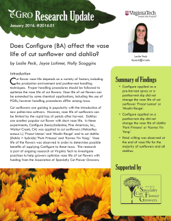 Does Configure (BA) affect the vase life of cut sunflower - e-GRO